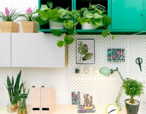 مزایای گیاهان در محل کار