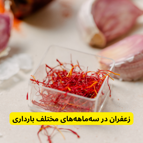 آیا گل زعفران برای زن باردار ضرر دارد؟ 2 زعفران در سه ماهه های مختلف بارداری در آیا گل زعفران برای زن باردار ضرر دارد؟