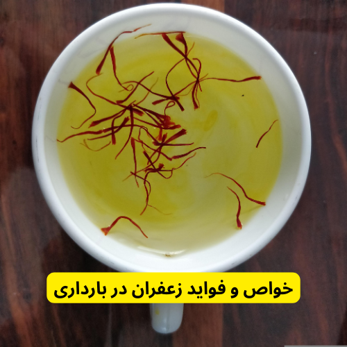 خواص و فواید زعفران در بارداری در آیا گل زعفران برای زن باردار ضرر دارد؟